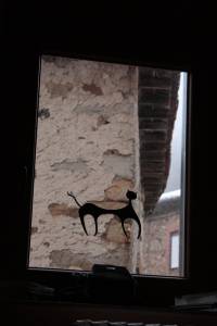 Gato en ventana